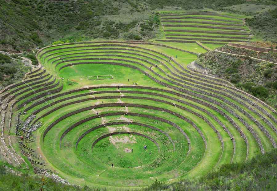 moray
